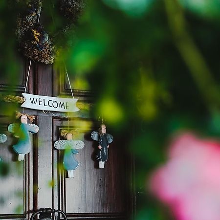 Vilnius Home Bed And Breakfast ภายนอก รูปภาพ